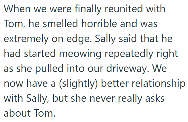 When we were finally reunited with Tom, he smelled horrible and was extremely on edge. Sally said that he had started meowing repeatedly right as she pulled into our driveway. We now have a (slightly) better relationship with Sally, but she never really asks about Tom.
