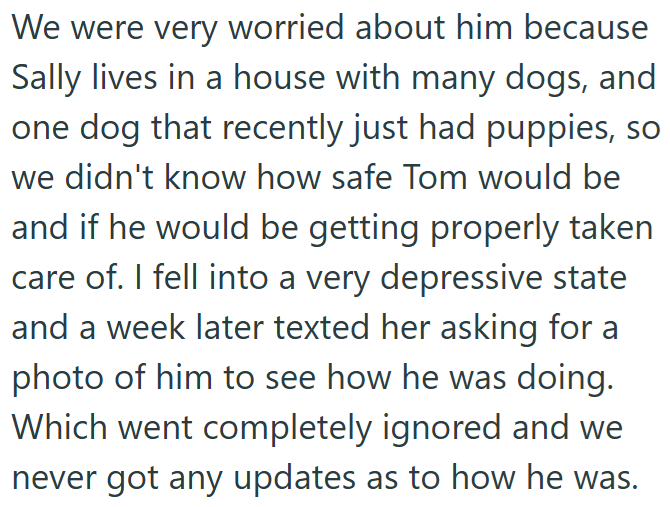 We were very worried about him because Sally lives in a house with many dogs, and one dog that recently just had puppies, so we didn't know how safe Tom would be and if he would be getting properly taken care of. I fell into a very depressive state and a week later texted her asking for a photo of him to see how he was doing. Which went completely ignored and we never got any updates as to how he was.