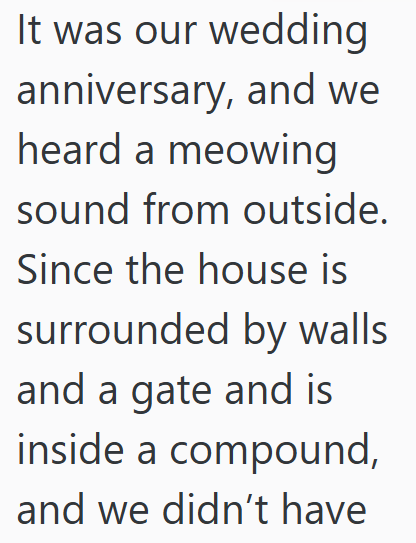 It was our wedding anniversary, and we heard a meowing sound from outside. Since the house is surrounded by walls and a gate and is inside a compound, and we didn't have
