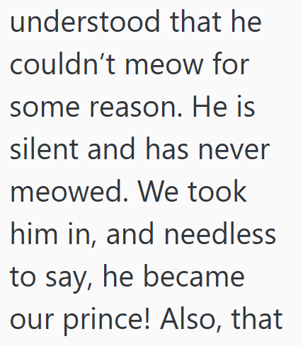 understood that he couldn't meow for some reason. He is silent and has never meowed. We took him in, and needless to say, he became our prince! Also, that