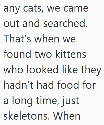 any cats, we came out and searched. That's when we found two kittens who looked like they hadn't had food for a long time, just skeletons. When