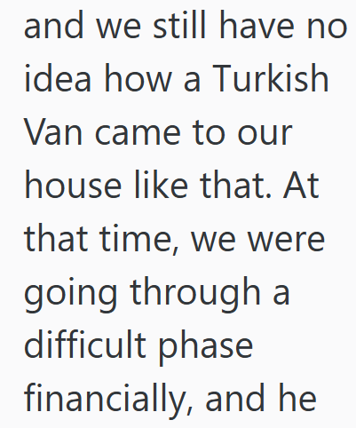 and we still have no idea how a Turkish Van came to our house like that. At that time, we were going through a difficult phase financially, and he