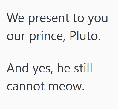 We present to you our prince, Pluto. And yes, he still cannot meow.