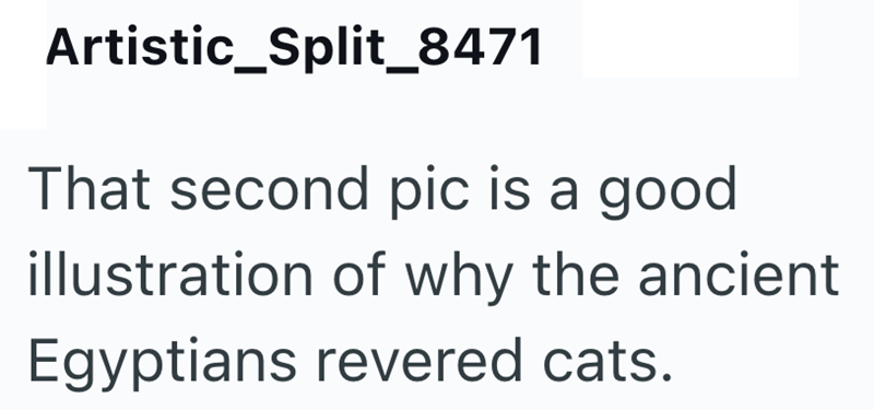 Artistic_Split_8471 That second pic is a good illustration of why the ancient Egyptians revered cats.