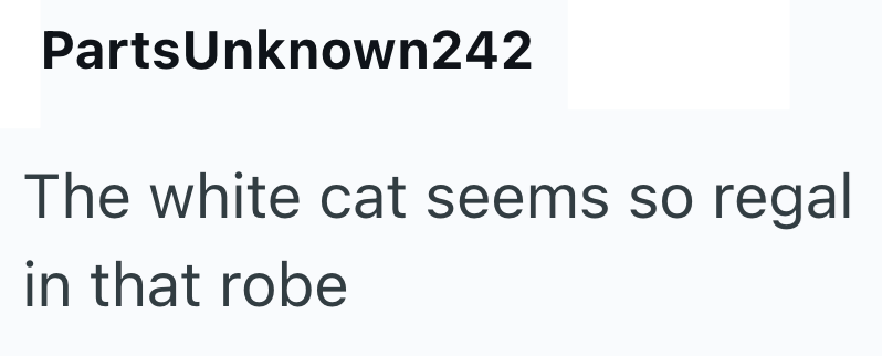 PartsUnknown242 The white cat seems so regal in that robe