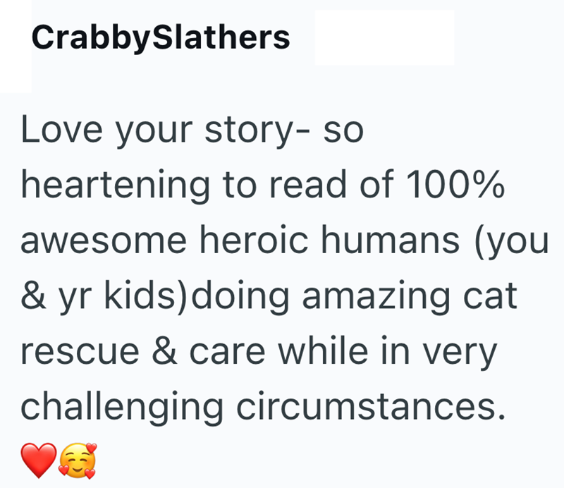 CrabbySlathers Love your story- so heartening to read of 100% awesome heroic humans (you & yr kids) doing amazing cat rescue & care while in very challenging circumstances.