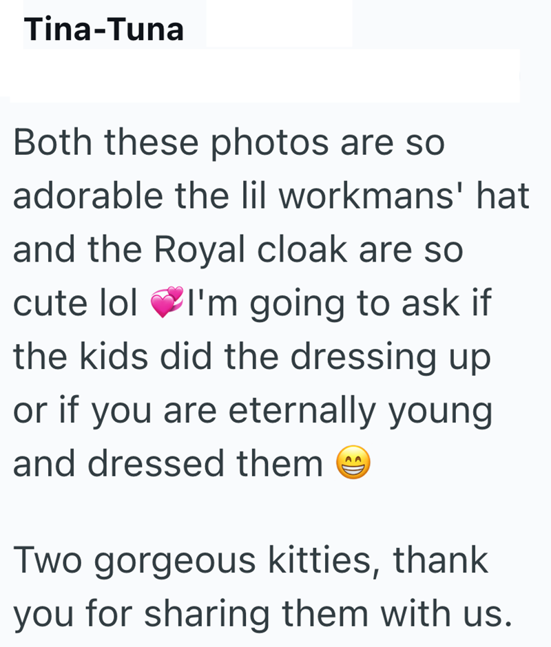 Tina-Tuna Both these photos are so adorable the lil workmans' hat and the Royal cloak are so cute lol I'm going to ask if the kids did the dressing up or if you are eternally young and dressed them AA Two gorgeous kitties, thank you for sharing them with us.