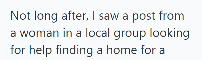 Not long after, I saw a post from a woman in a local group looking for help finding a home for a
