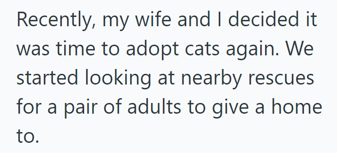 Recently, my wife and I decided it was time to adopt cats again. We started looking at nearby rescues for a pair of adults to give a home to.