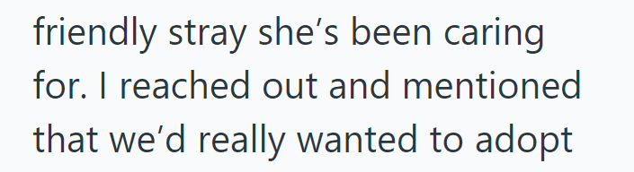 friendly stray she's been caring for. I reached out and mentioned that we'd really wanted to adopt