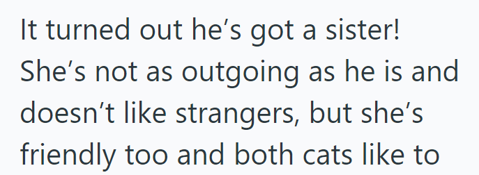 It turned out he's got a sister! She's not as outgoing as he is and doesn't like strangers, but she's friendly too and both cats like to