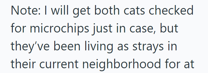 Note: I will get both cats checked for microchips just in case, but they've been living as strays in their current neighborhood for at