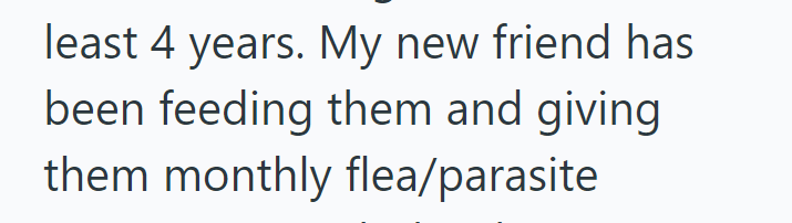 least 4 years. My new friend has been feeding them and giving them monthly flea/parasite