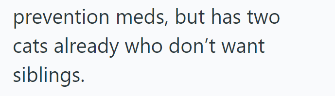 prevention meds, but has two. cats already who don't want siblings.
