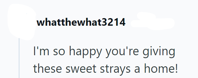 whatthewhat3214 I'm so happy you're giving these sweet strays a home!