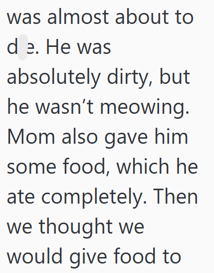 was almost about to de. He was absolutely dirty, but he wasn't meowing. Mom also gave him some food, which he ate completely. Then we thought we would give food to