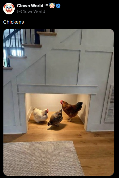 | TM Clown World ™ @ClownWorld Chickens