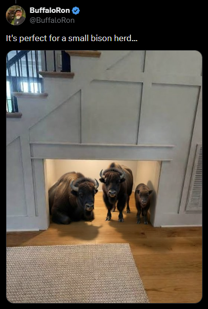 Buffalo Ron @BuffaloRon It's perfect for a small bison herd...