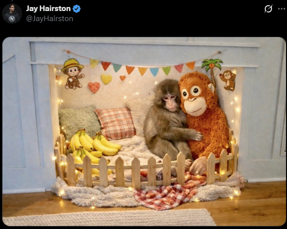 Jay Hairston @JayHairston Q