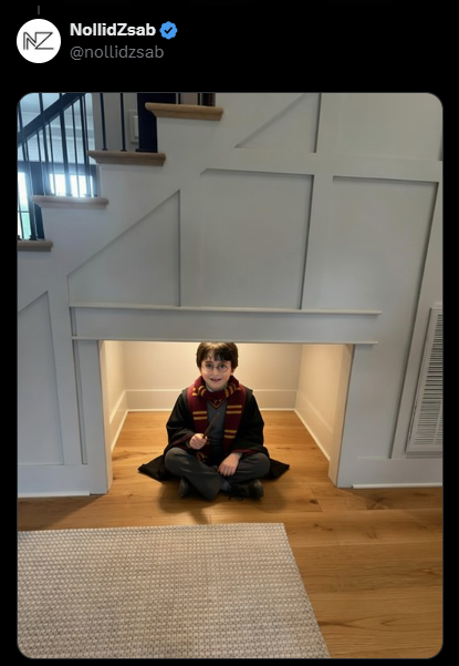 NZ NollidZsab @nollidzsab