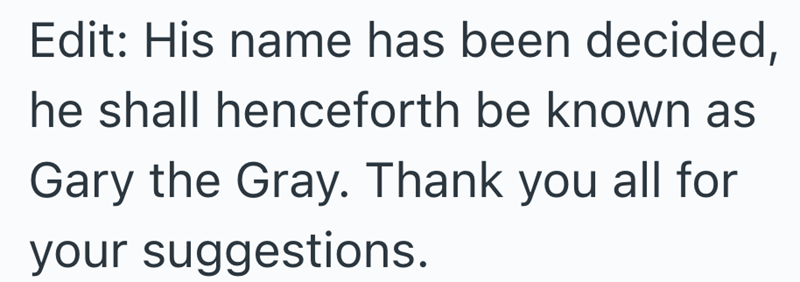 Edit: His name has been decided, he shall henceforth be known as Gary the Gray. Thank you all for your suggestions.
