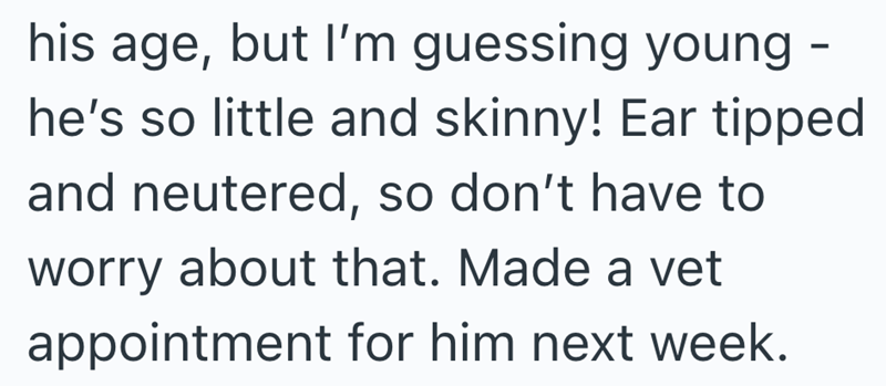 his age, but I'm guessing young - he's so little and skinny! Ear tipped and neutered, so don't have to worry about that. Made a vet appointment for him next week.