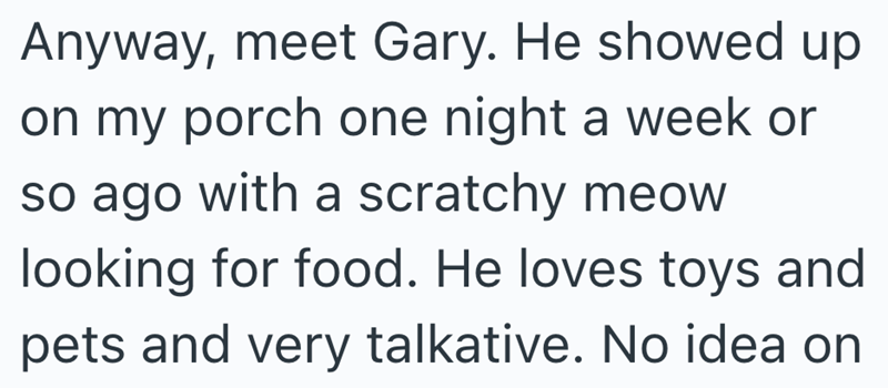 Anyway, meet Gary. He showed up on my porch one night a week or so ago with a scratchy meow looking for food. He loves toys and pets and very talkative. No idea on