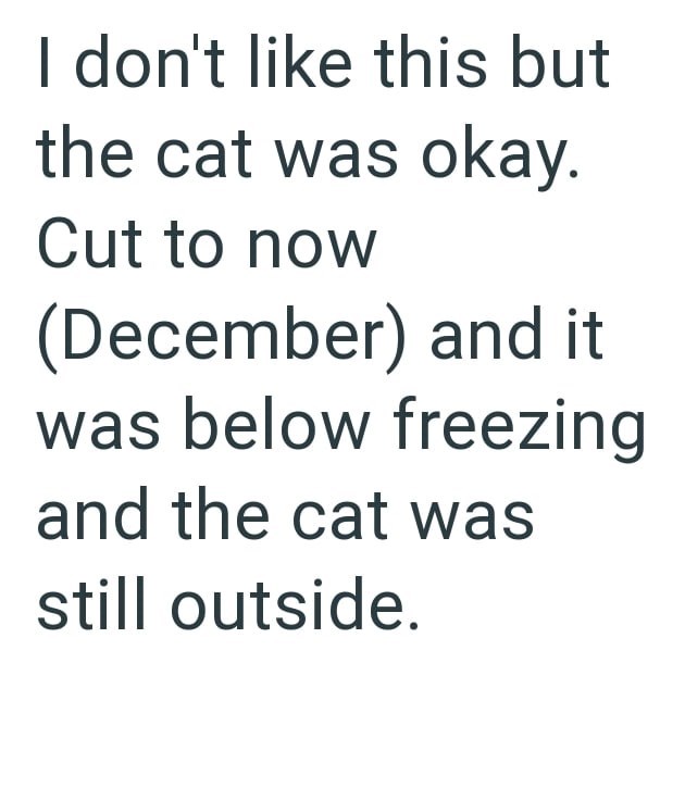 I don't like this but the cat was okay. Cut to now (December) and it was below freezing and the cat was still outside.