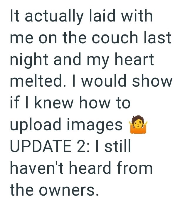 It actually laid with me on the couch last night and my heart melted. I would show if I knew how to upload images UPDATE 2: I still haven't heard from the owners.