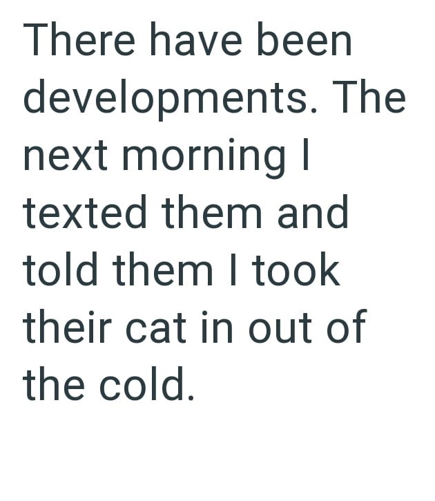 There have been developments. The next morning I texted them and told them I took their cat in out of the cold.