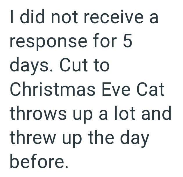 I did not receive a response for 5 days. Cut to Christmas Eve Cat throws up a lot and threw up the day before.