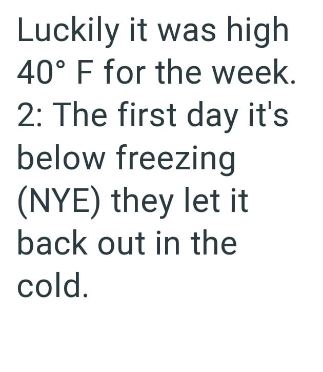 Luckily it was high 40° F for the week. 2: The first day it's below freezing (NYE) they let it back out in the cold.