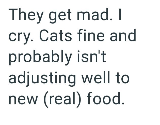They get mad. I cry. Cats fine and probably isn't adjusting well to new (real) food.