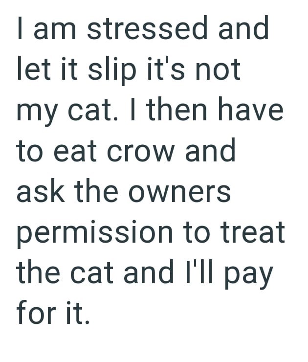 I am stressed and let it slip it's not my cat. I then have to eat crow and ask the owners permission to treat the cat and I'll pay for it.