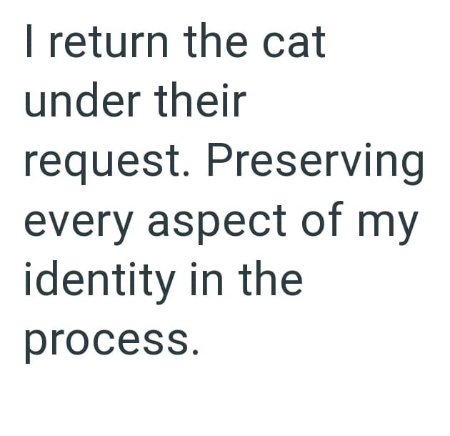 I return the cat under their request. Preserving every aspect of my identity in the process.