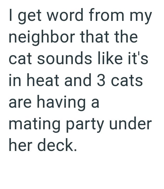I get word from my neighbor that the cat sounds like it's in heat and 3 cats are having a mating party under her deck.