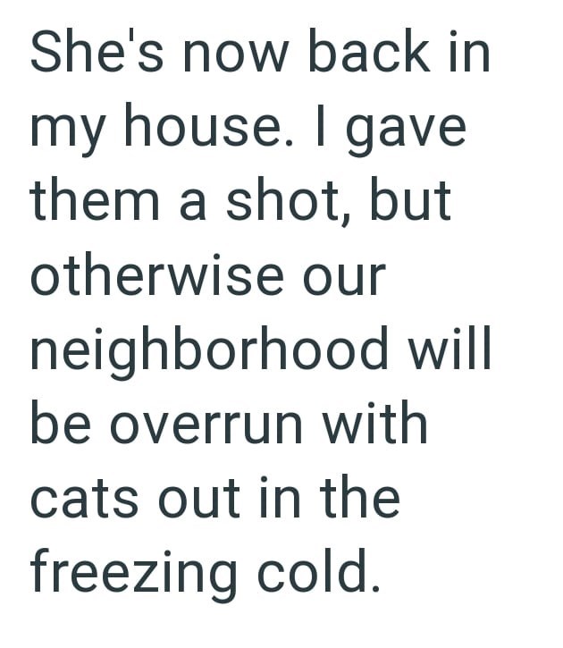 She's now back in my house. I gave them a shot, but otherwise our neighborhood will be overrun with cats out in the freezing cold.