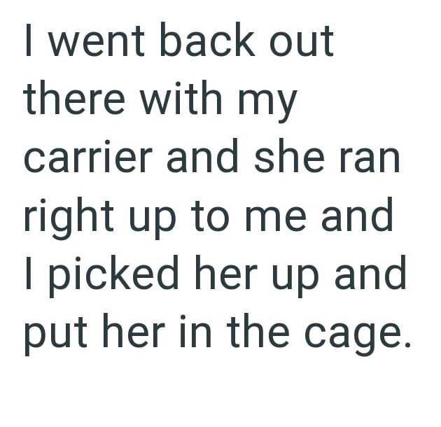 I went back out there with my carrier and she ran right up to me and I picked her up and put her in the cage.