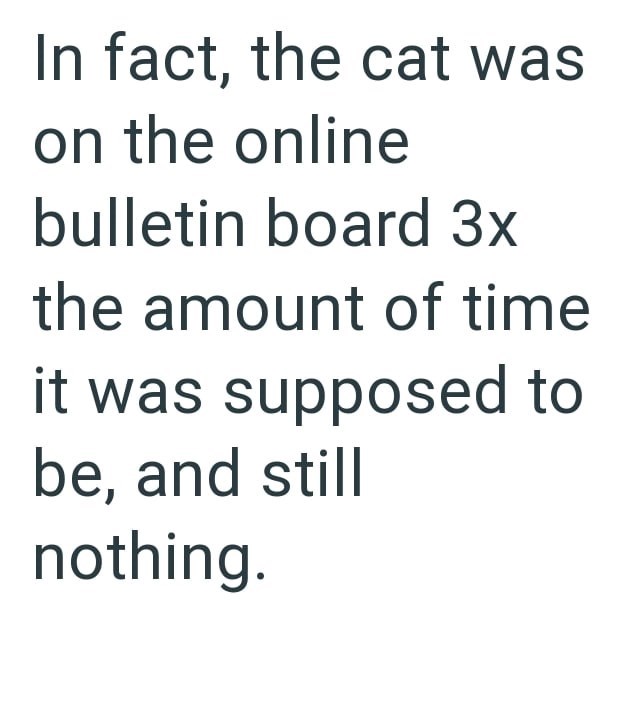 In fact, the cat was on the online bulletin board 3x the amount of time it was supposed to be, and still nothing.