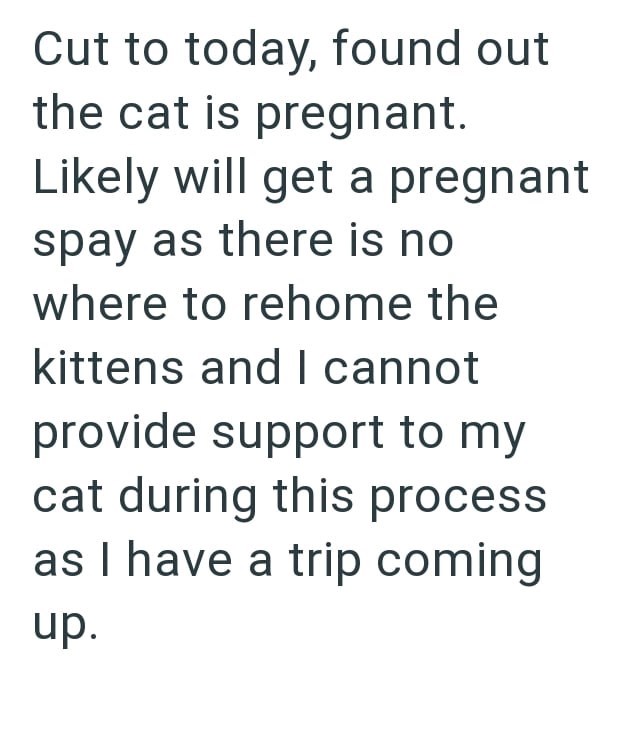 Cut to today, found out the cat is pregnant. Likely will get a pregnant spay as there is no where to rehome the kittens and I cannot provide support to my cat during this process as I have a trip coming up.