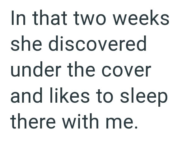 In that two weeks she discovered under the cover and likes to sleep there with me.