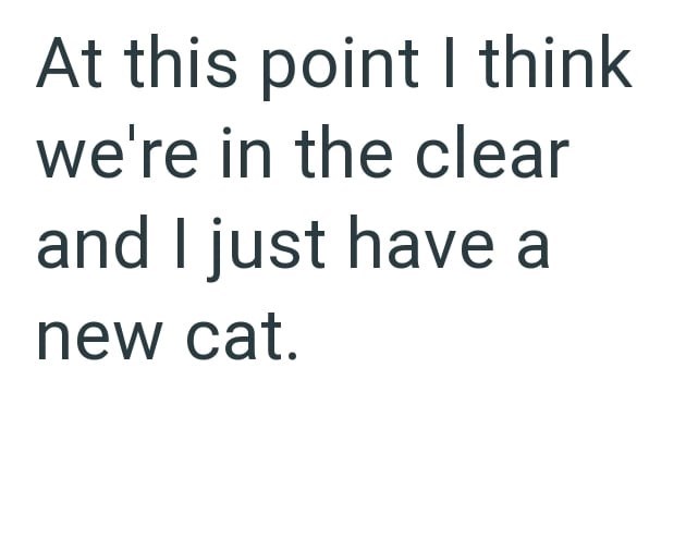 At this point I think we're in the clear and I just have a new cat.