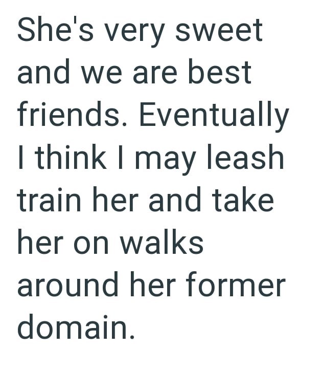 She's very sweet and we are best friends. Eventually I think I may leash train her and take her on walks around her former domain.