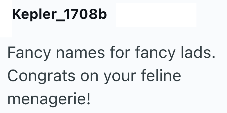 Kepler_1708b Fancy names for fancy lads. Congrats on your feline menagerie!