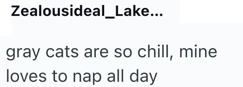 Zealousideal_Lake... gray cats are so chill, mine loves to nap all day