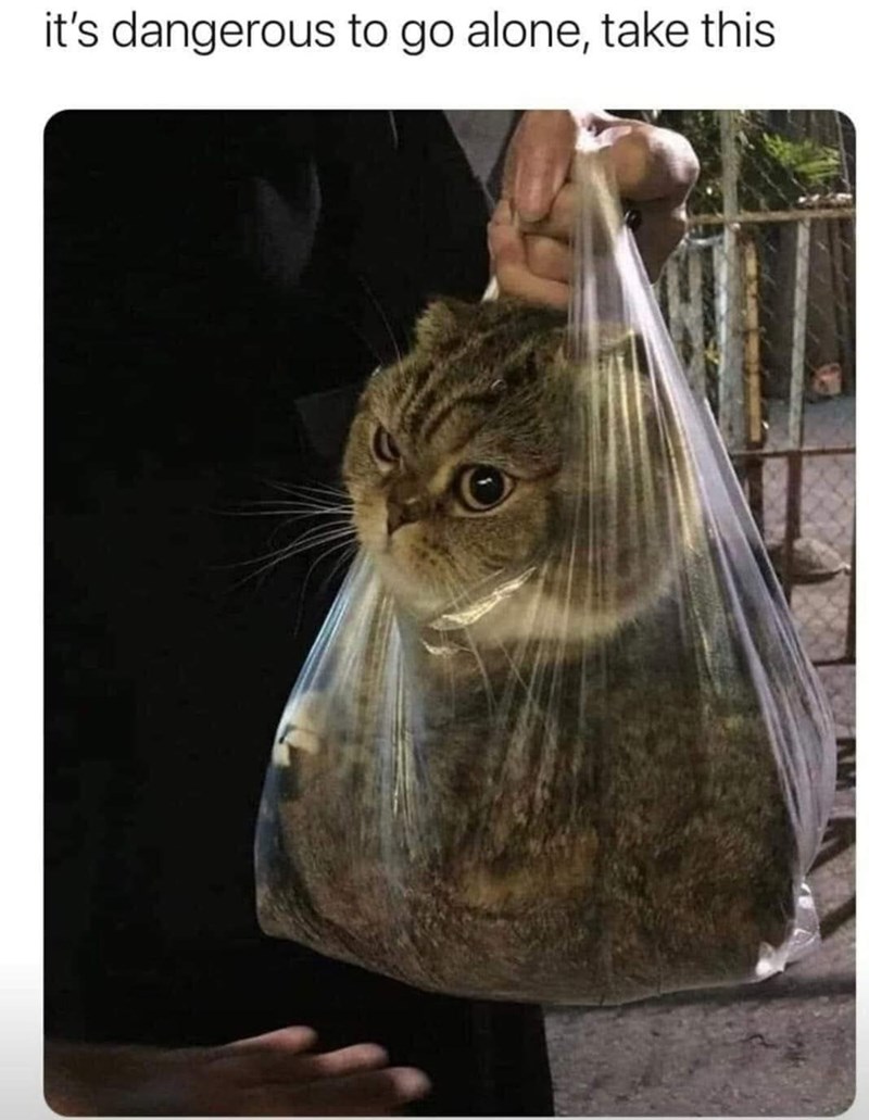 it's dangerous to go alone, take this