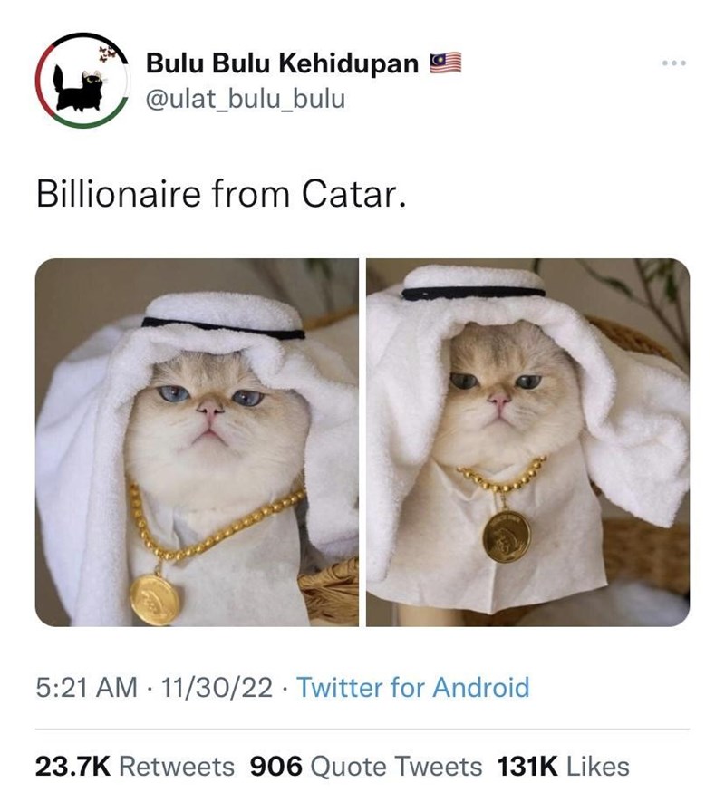 Bulu Bulu Kehidupan @ulat_bulu_bulu Billionaire from Catar. 5:21 AM 11/30/22 Twitter for Android 23.7K Retweets 906 Quote Tweets 131K Likes