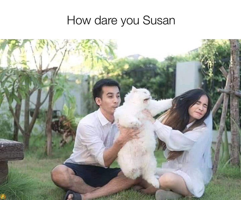 How dare you Susan
