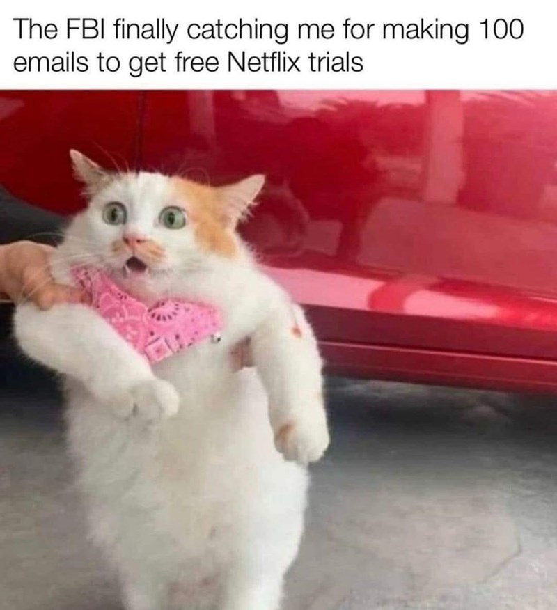 The FBI finally catching me for making 100. emails to get free Netflix trials