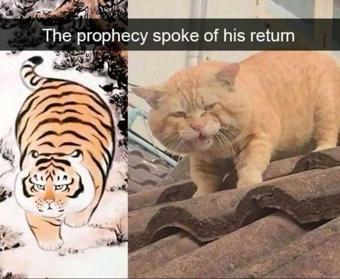 The prophecy spoke of his return